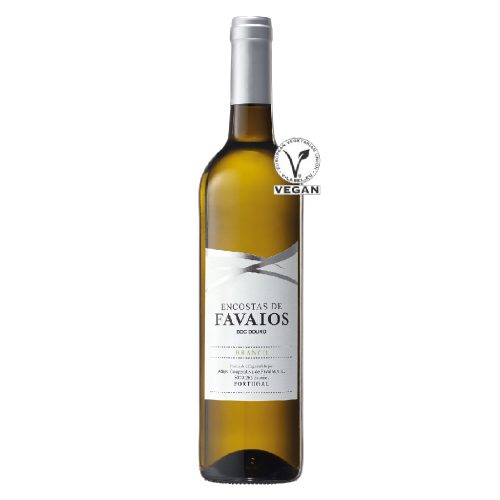Encostas-de-Favaios-BR-Vegan