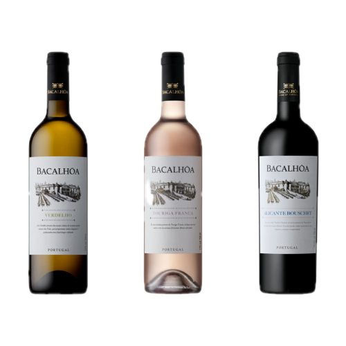 Polish_20210305_172635897