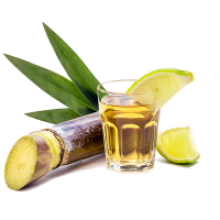 brazilian-pinga-cup-isolated-white-background-with-sugar-cane-side.png